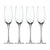 Davis & Waddle Ascot Champagne Flutes