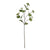 ROGUE VIBURNUM BERRY SPRAY GREEN 24X12X79CM